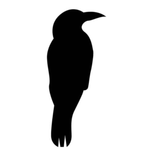 Raven's Quill