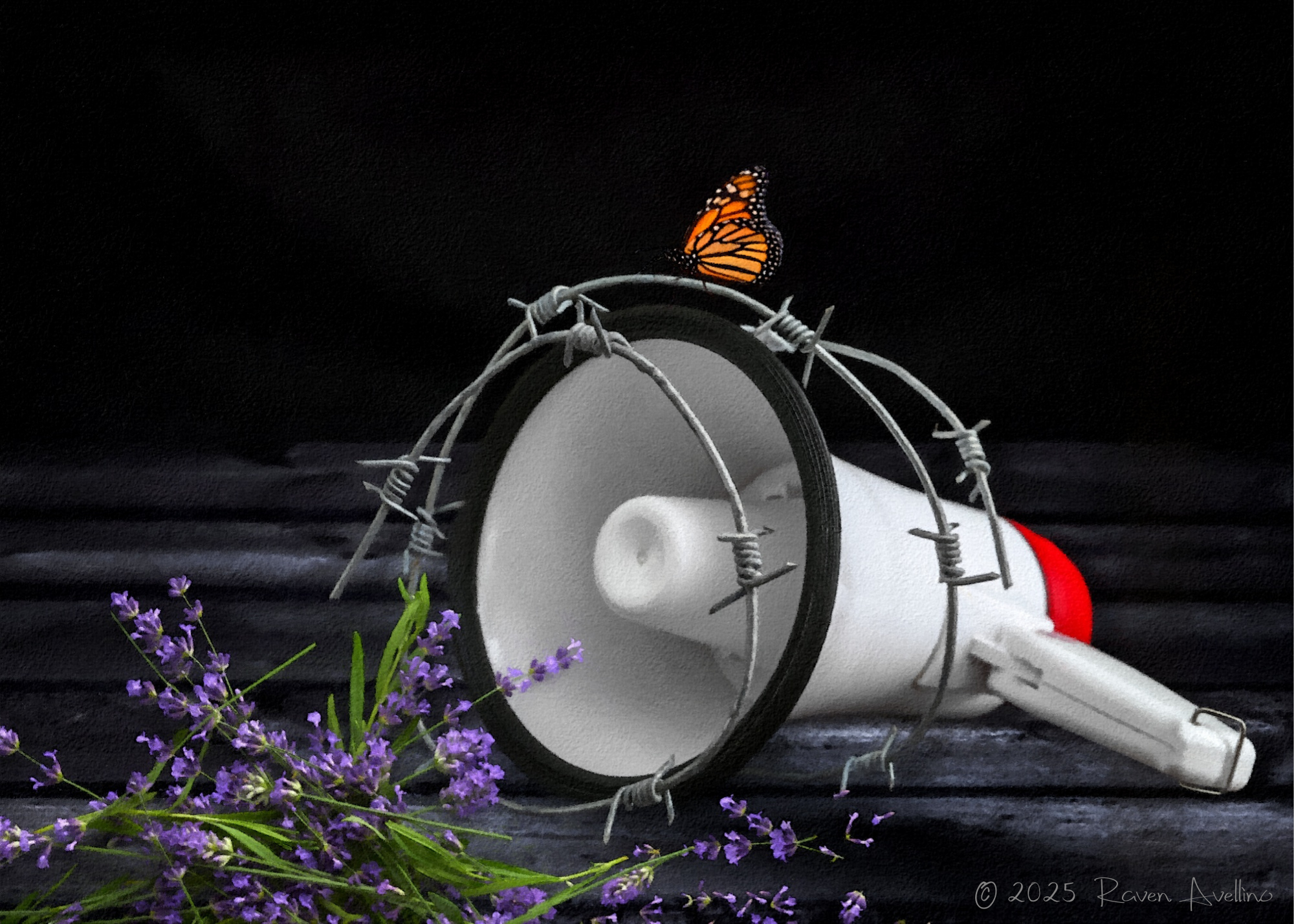 A megaphone wrapped in barbed wire, lying with a monarch butterfly perched on top and sprigs of lavender nearby.